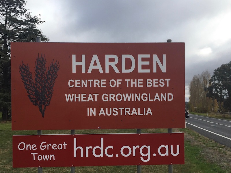 Harden business group wants more ambitious growth model