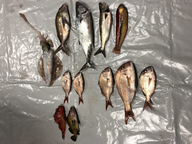 Fisheries officers apprehended the 48-year-old from the ACT, following a surveillance operation at Bateman Bay. Photo: NSW DPI.
