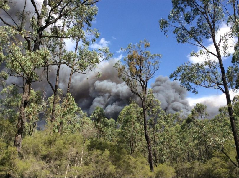 Low relative humidity combined with an underlying soil moisture issue means that risk factors for bushfires are higher this year than they were last year. Photo: NSW RFS Facebook page. 