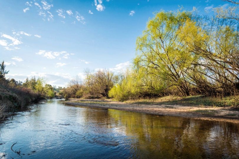 "Brianberry" comes with Bega River frontage and a generous water licence. Photo: Supplied. 