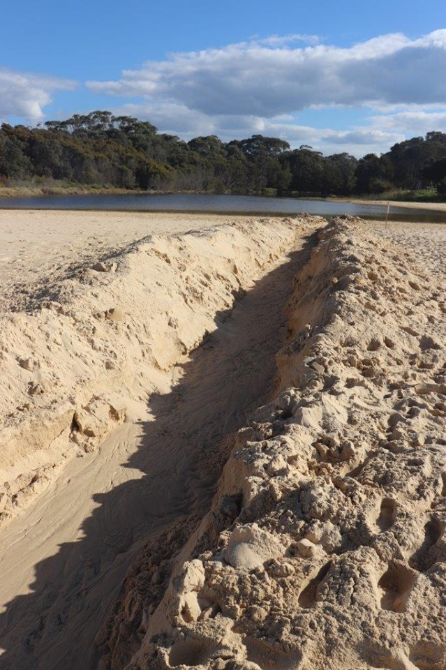 Little Lake, Narooma at risk of large scale fish kill with illegal opening