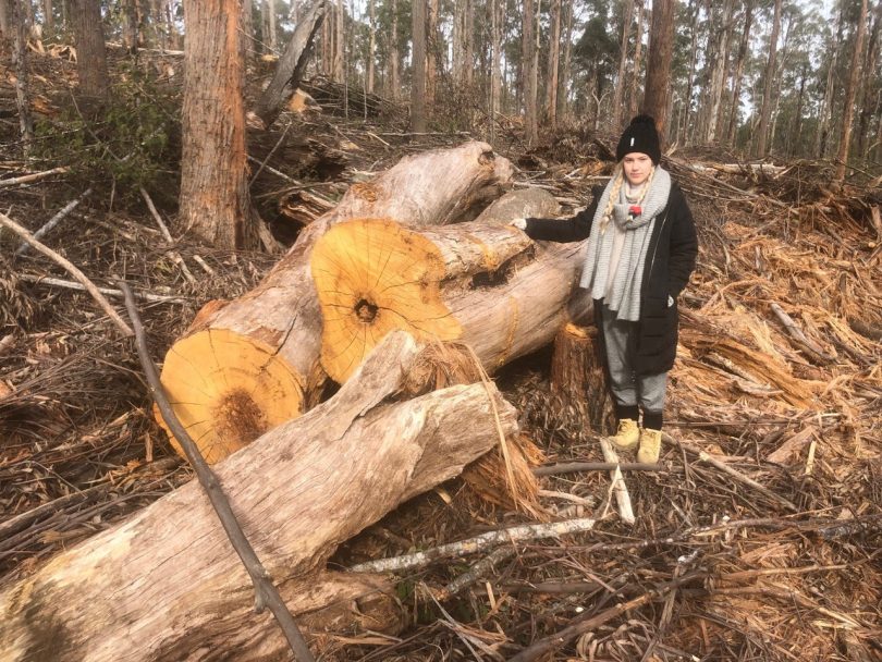 “Forestry Corps claim that they are cutting down the smallest and weakest trees is just not true," - Peter Day. Photo: Supplied.
