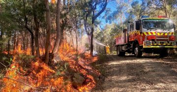 1000 more firefighting staff needed to combat future fire seasons, says union
