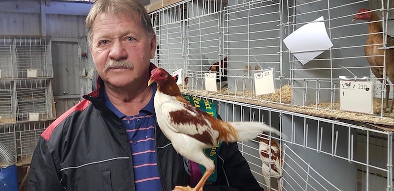 Bring back National Poultry Show to Canberra