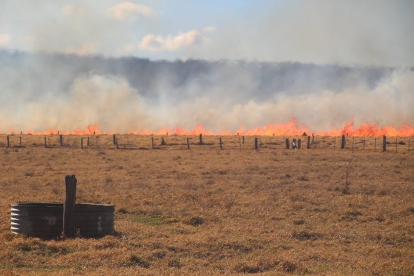 The grass fire near Moruya was extinguished on 13th July. Photo: Alex Rea. 