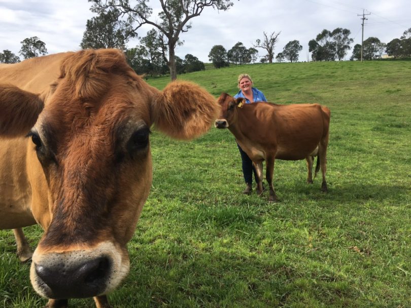 Ash with a few of her herd. When she and husband moved to the Bega Valley six years ago, she says she had to "learn to milk a cow bloody quickly!" Photo: Supplied. 