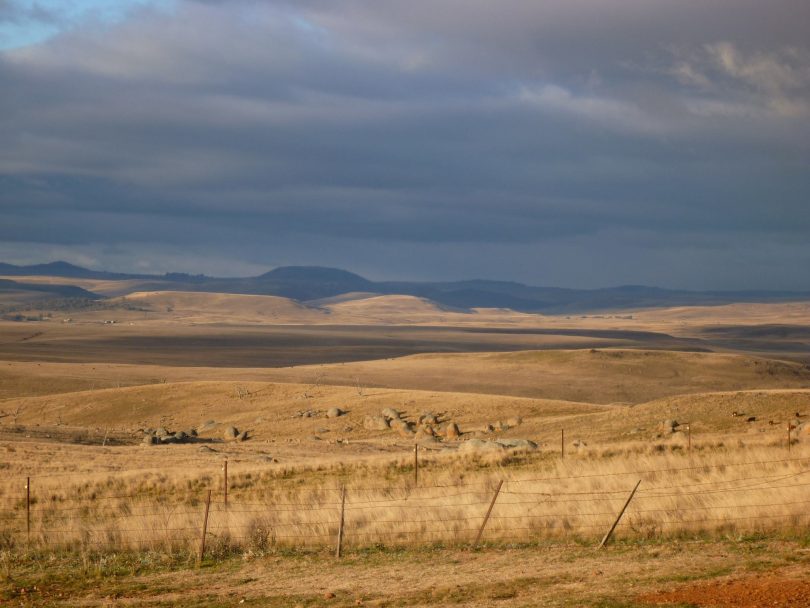 The monaro is a unique landscape and this Friday's Landcare presentation can help us understand it better. Photo: Upper Snowy Landcare Network.