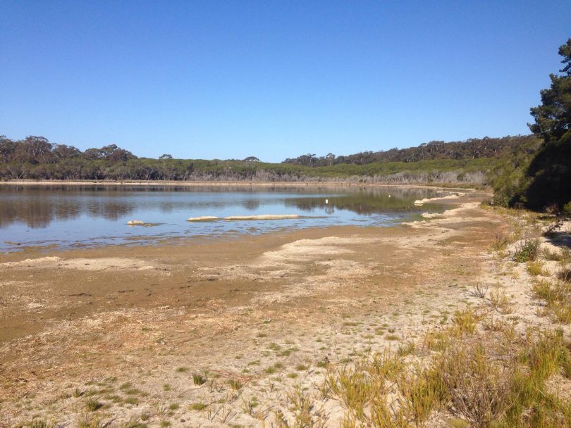 Locals think that Wallagoot Lake is the lowest it's been since 2010. Photo: Luke Brown. 