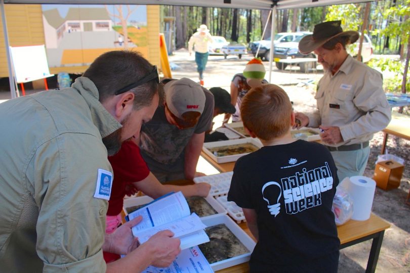 A BioBlitz of the Bega River is one of the highlights of Bega Valley Science Week. Photo: Supplied.