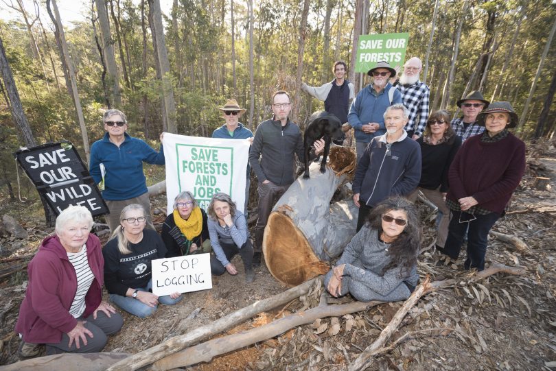 NSW Greens spokesperson for the Forests, David Shoebridge MLC and supporters of Friends of the Forests, Mogo gather around a tree top approximately 60cm in diameter. Photo: Gillianne Tedder.
