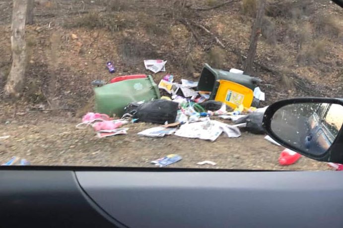 Trash strewn throughout Carwoola streets, bins destroyed