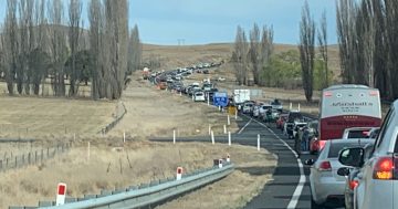 Nation's road toll becoming increasingly political as groups call for government action