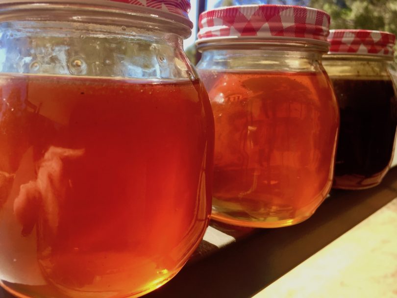 Honey from a Flow Hive, a Langstroth hive, and presssed honey. Photo: Lisa Herbert