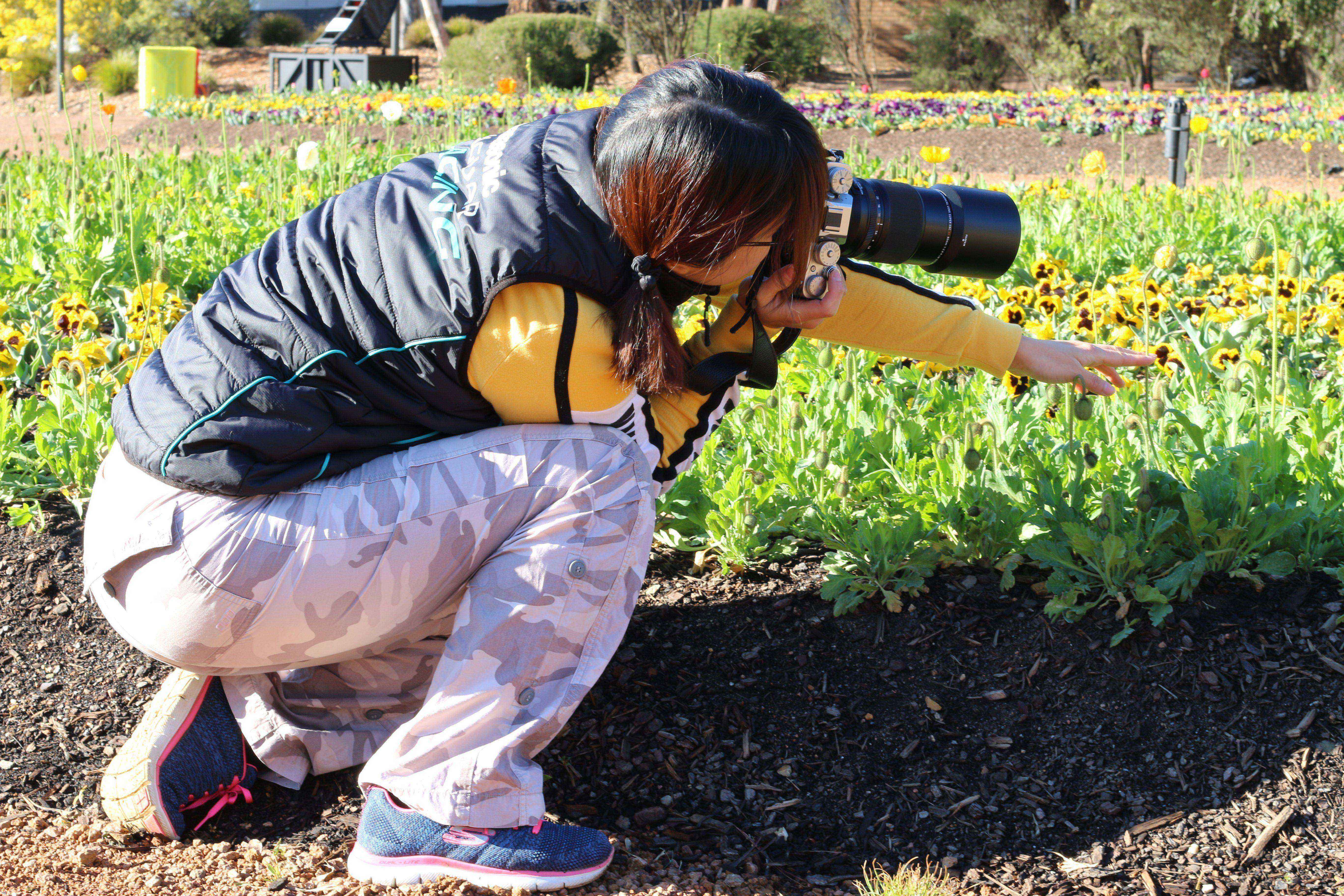 Finding focus when you photograph the Floriade floral frenzy