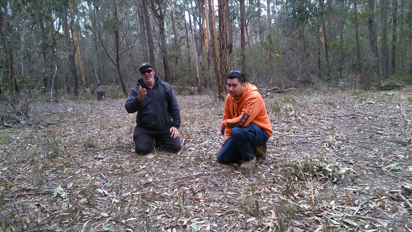 Traditional owners take on European pest in Bega Valley