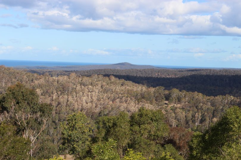 Reports point to the western side of Mumbulla and Doctor George Mountains, to the west of Moruya, and here at Black Range south of Bega, Photo: Ian Campbell.