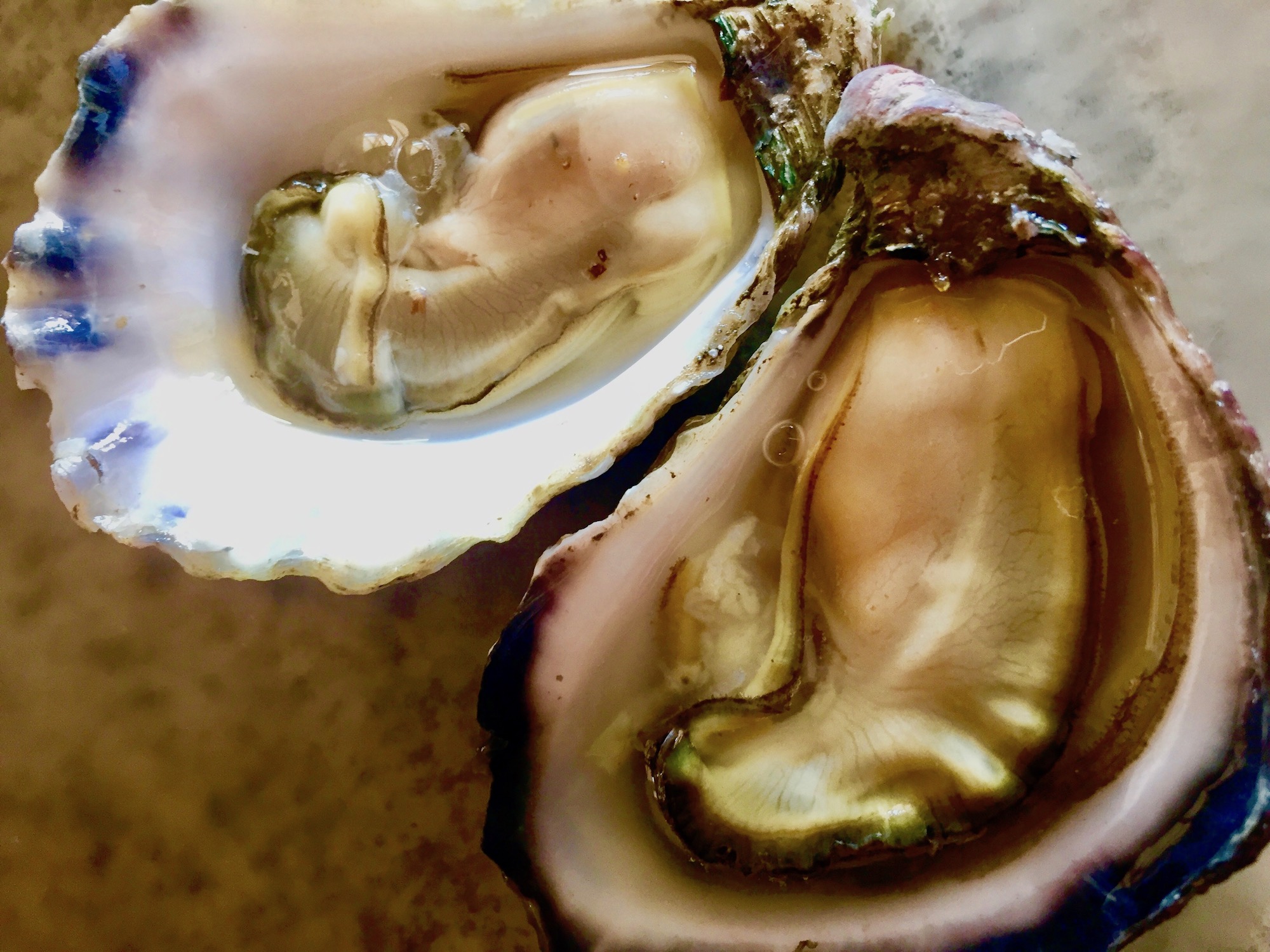 Oyster, how do I love thee? Let me count the ways: naked, full cup and busting fat