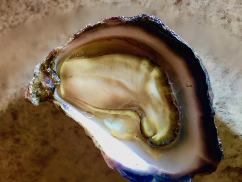Always natural, the sweet Sydney Rock Oyster
