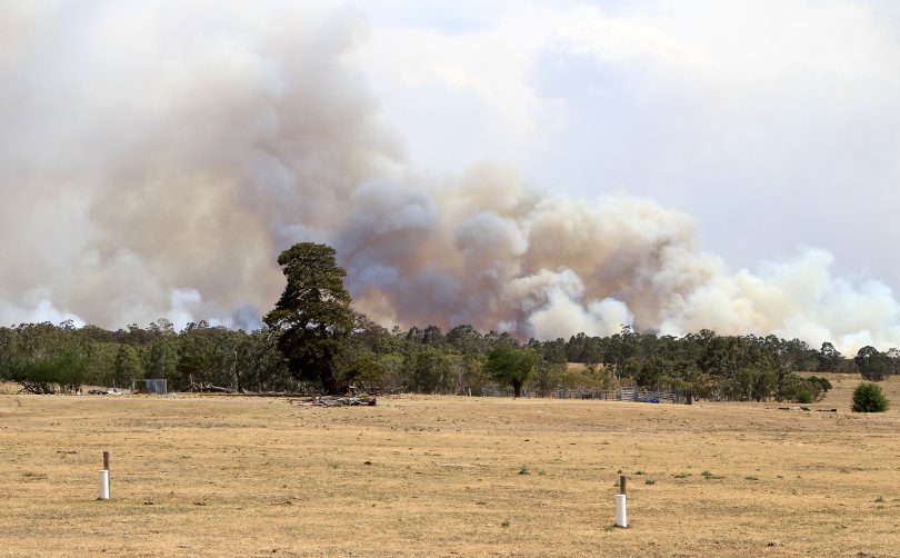 Respite with cooler conditions for Black Range, Currowan fire at emergency level