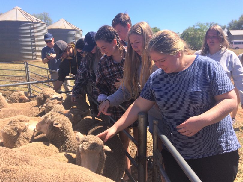 Students from Moruya High School have travelled to inland farms for the past five years on a field trip they never forget. Photo: Supplied. 