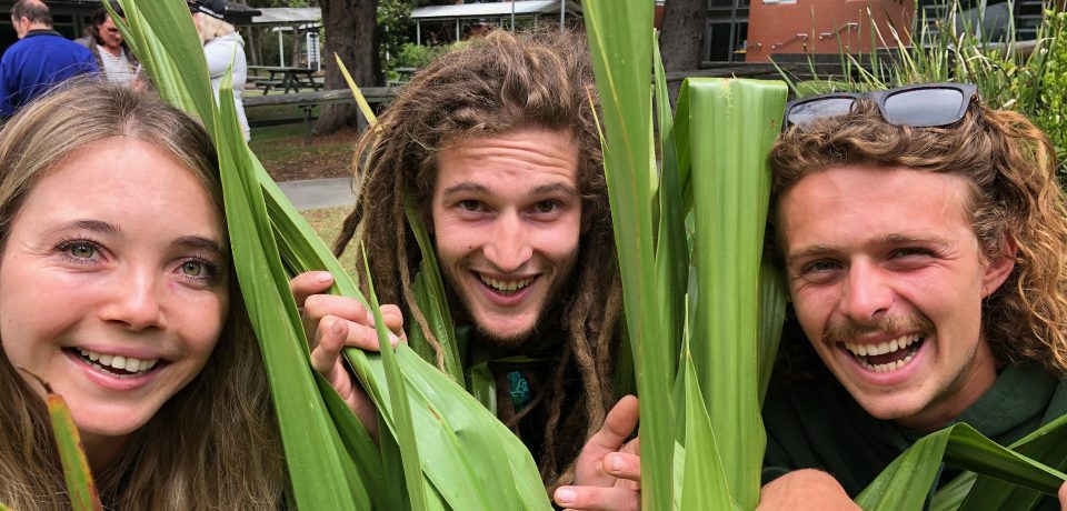 Goulburn and Moruya TAFE Spring Fling plant sales this week! - About Regional