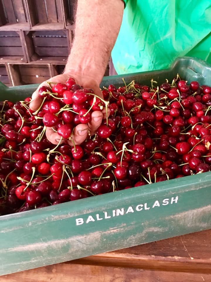 Ballinaclash cherries