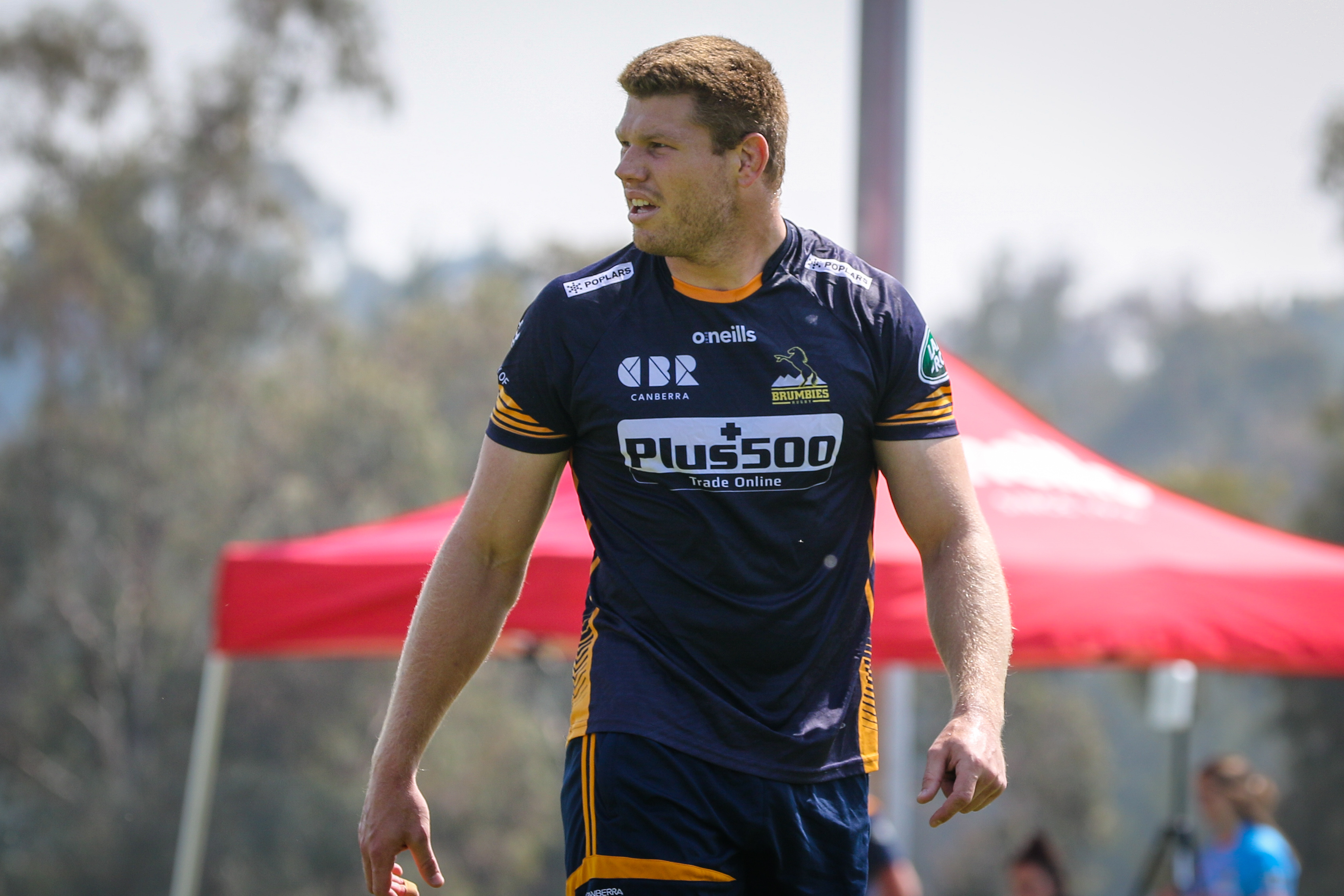 Brumbies ready to rip into Super Rugby 2020