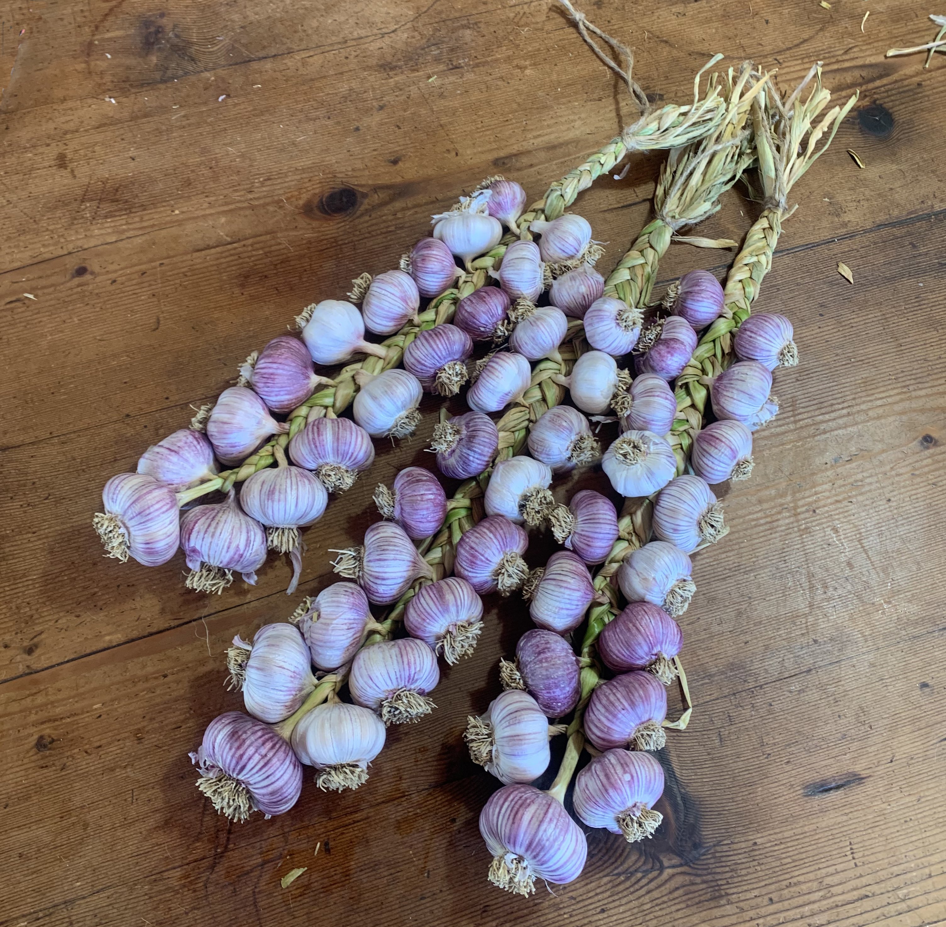 Notes from the Kitchen Garden: Christmas gifts and how to braid garlic