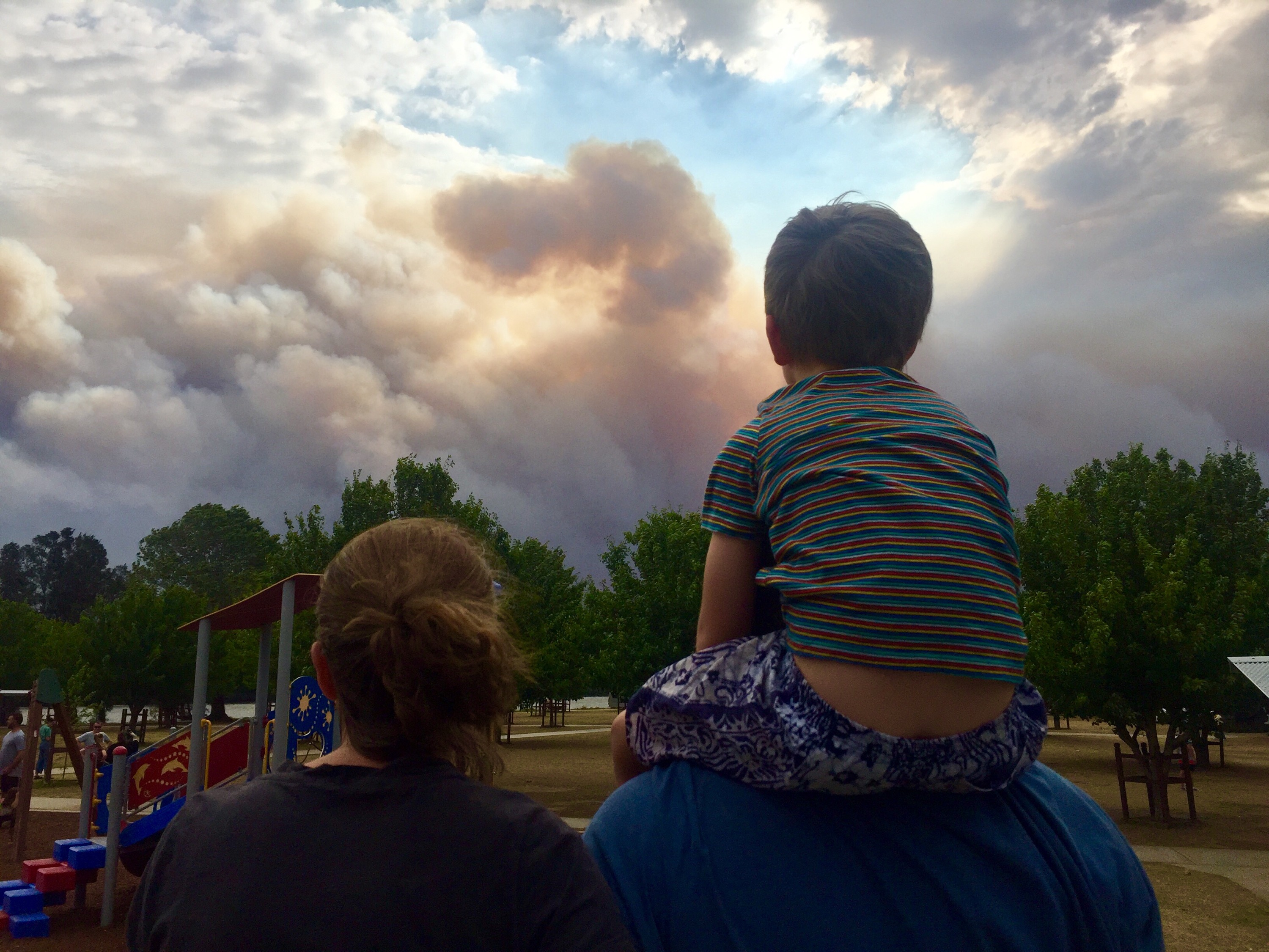 Bushfire anniversary triggers impact on south coast