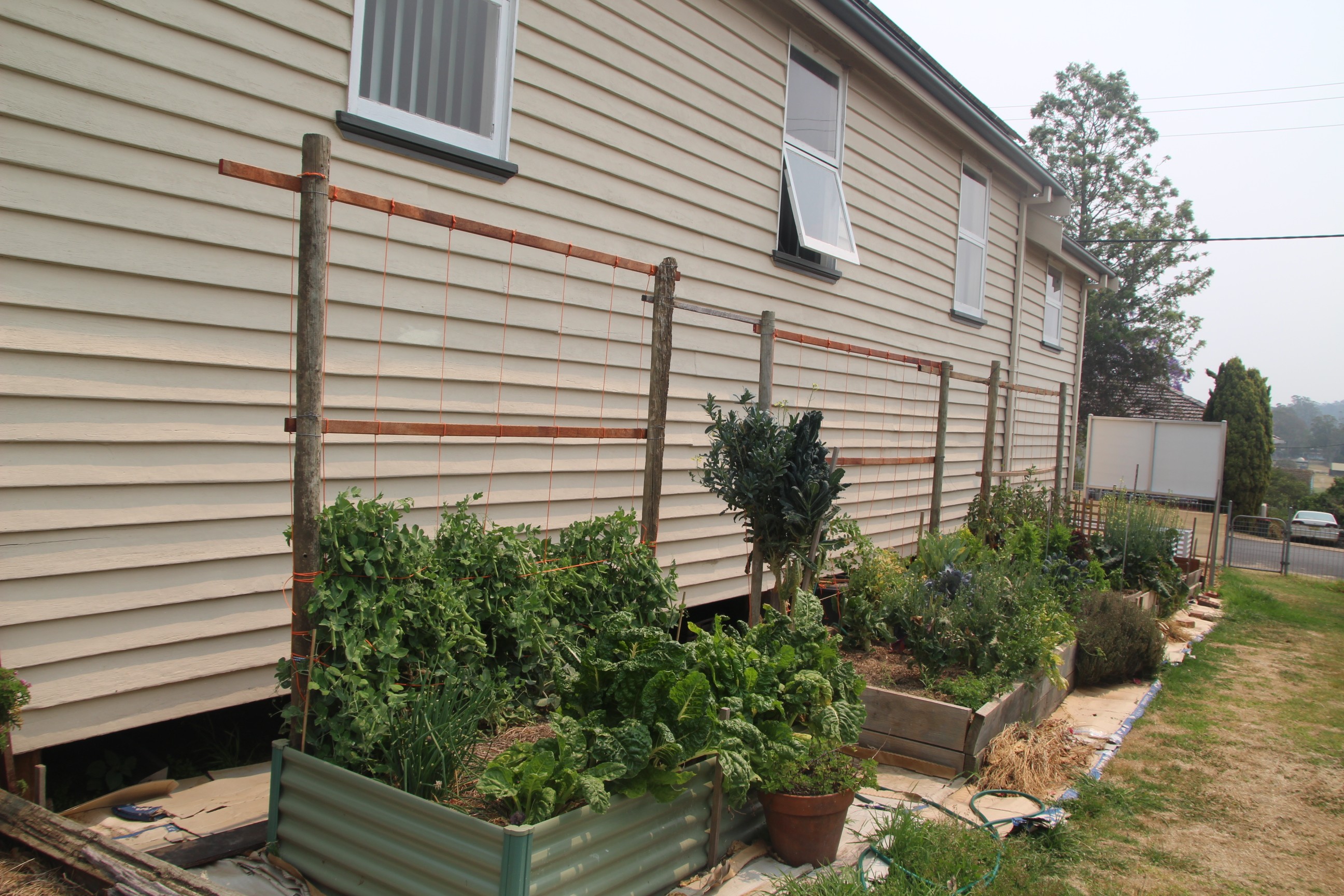 New drought hardy garden beds for veg at Moruya Community Garden