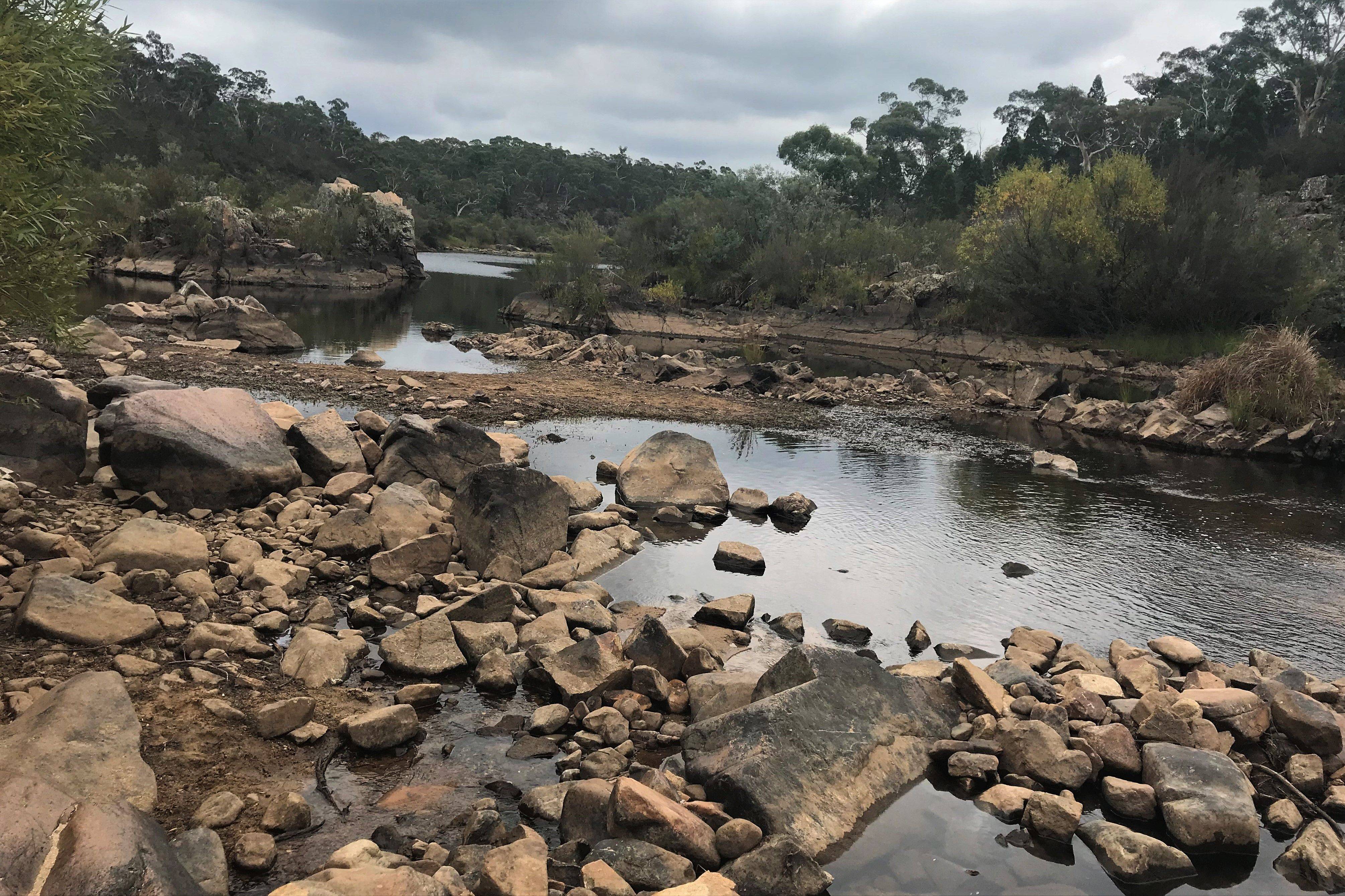 Water woes for Braidwood and beyond as drought dries up Shoalhaven River