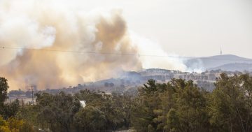 Bushfire report: Preparedness key to better mental health following natural disasters