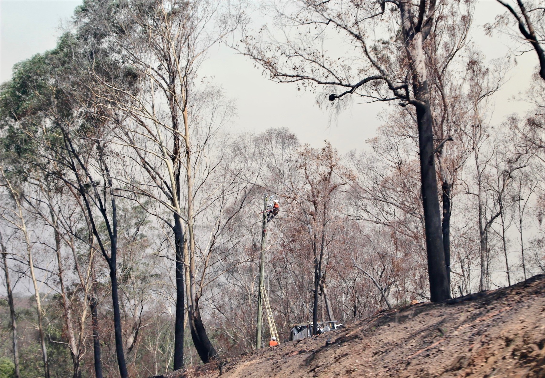 Bega Valley, Snowy Monaro and Eurobodalla Shires bushfires: RFS says be prepared