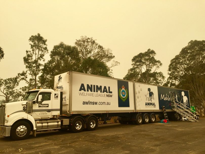Assistance with animals is available at Bega Sale Yards on Kerrisons Lane