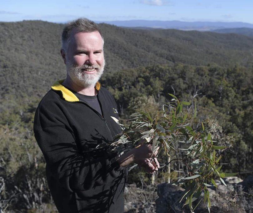 James Fitzgerald standing in bush.