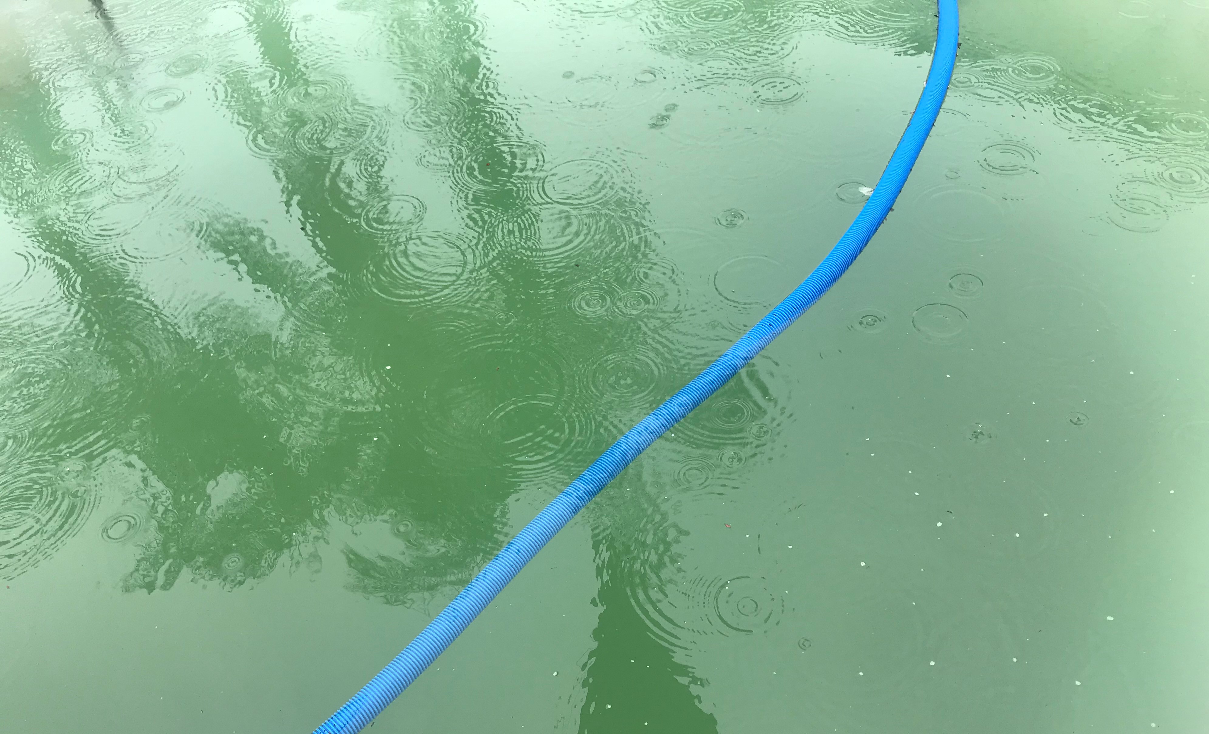 Top tips for cleaning your ash-filled swimming pool