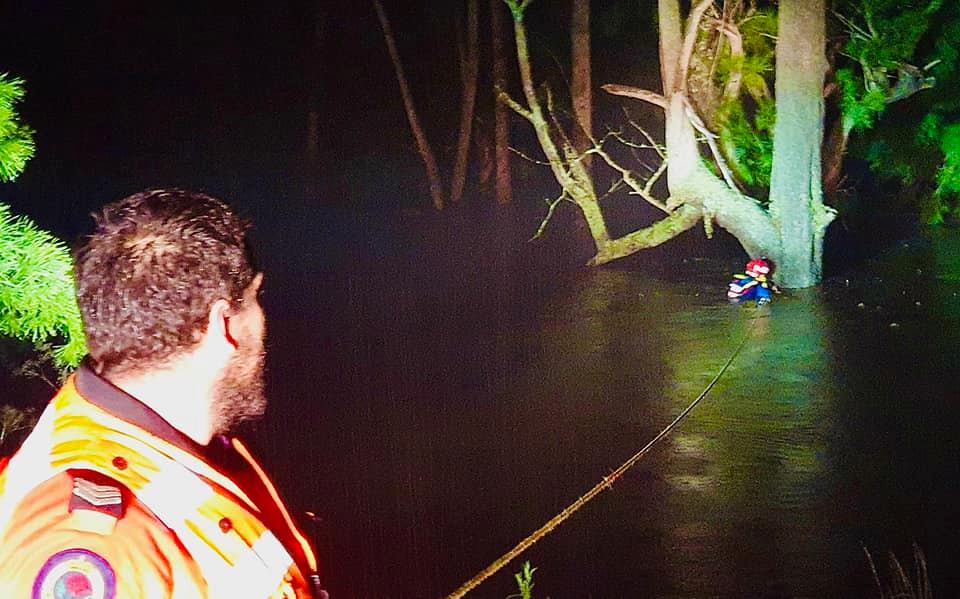 Man rescued from floodwater after clinging to a tree for 10 hours near Bega