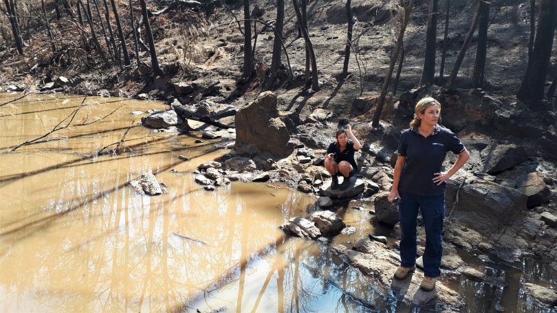 Eurobodalla Council’s Landcare coordinator Emma Patyus and natural resources supervisor Heidi Thomson along the burnt-out bank of the Deua River.