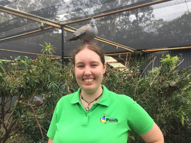 From pigeons to meerkats, Emma heads to Mogo Zoo. Photo: Lisa Herbert