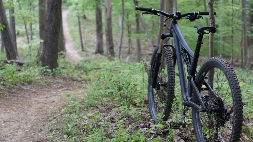 Eurobodalla Shire council is pushing ahead with plans to create a mountain bike trail near Mogo. Photo: Supplied.