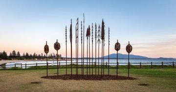 Sculpture Bermagui scores renowned judge for its 20th anniversary
