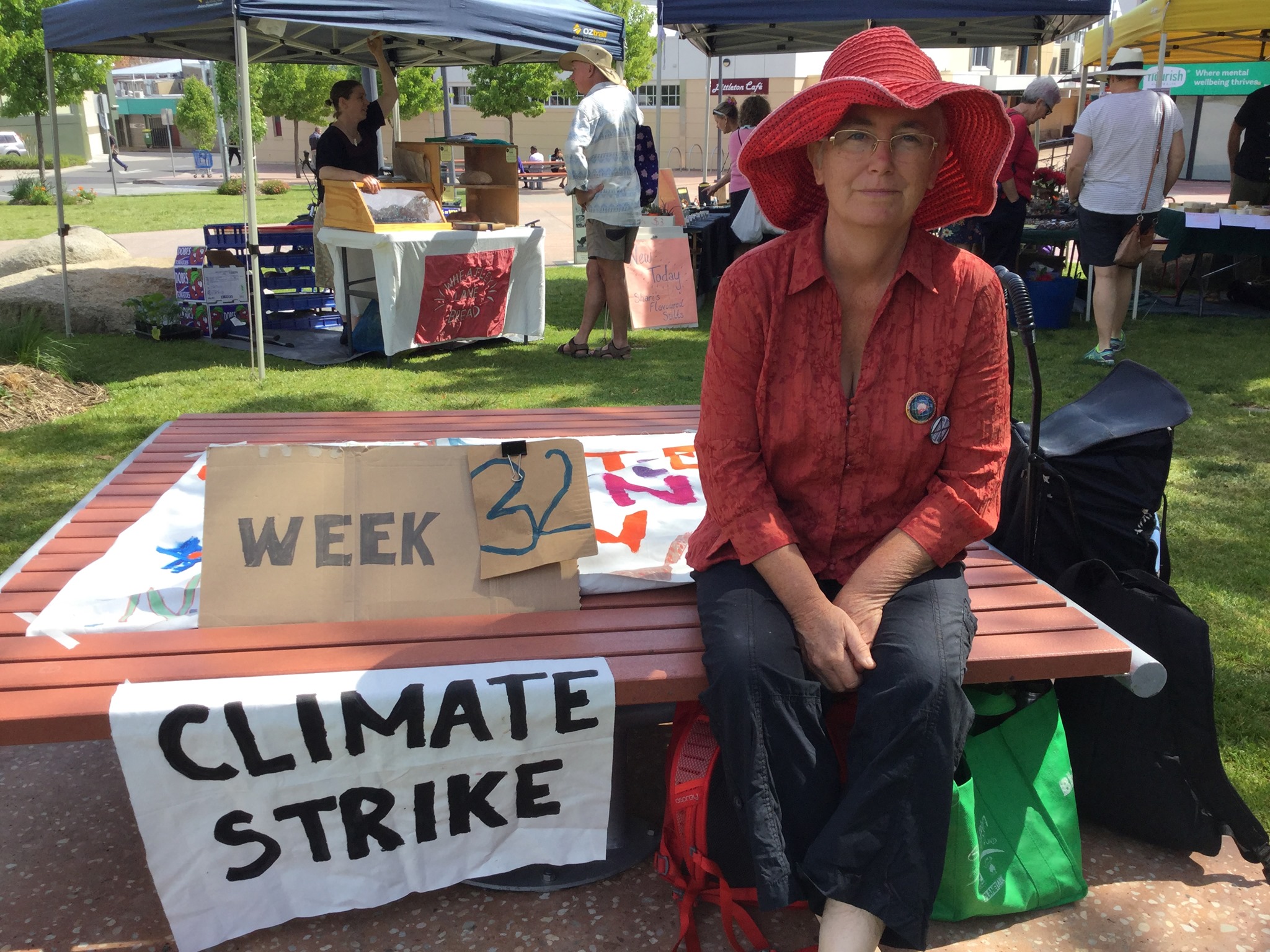 Bega woman celebrates year of weekly climate strikes