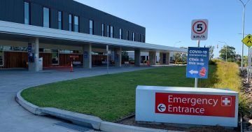Nurse who stole from patient's wife at Bega hospital disqualified for a year