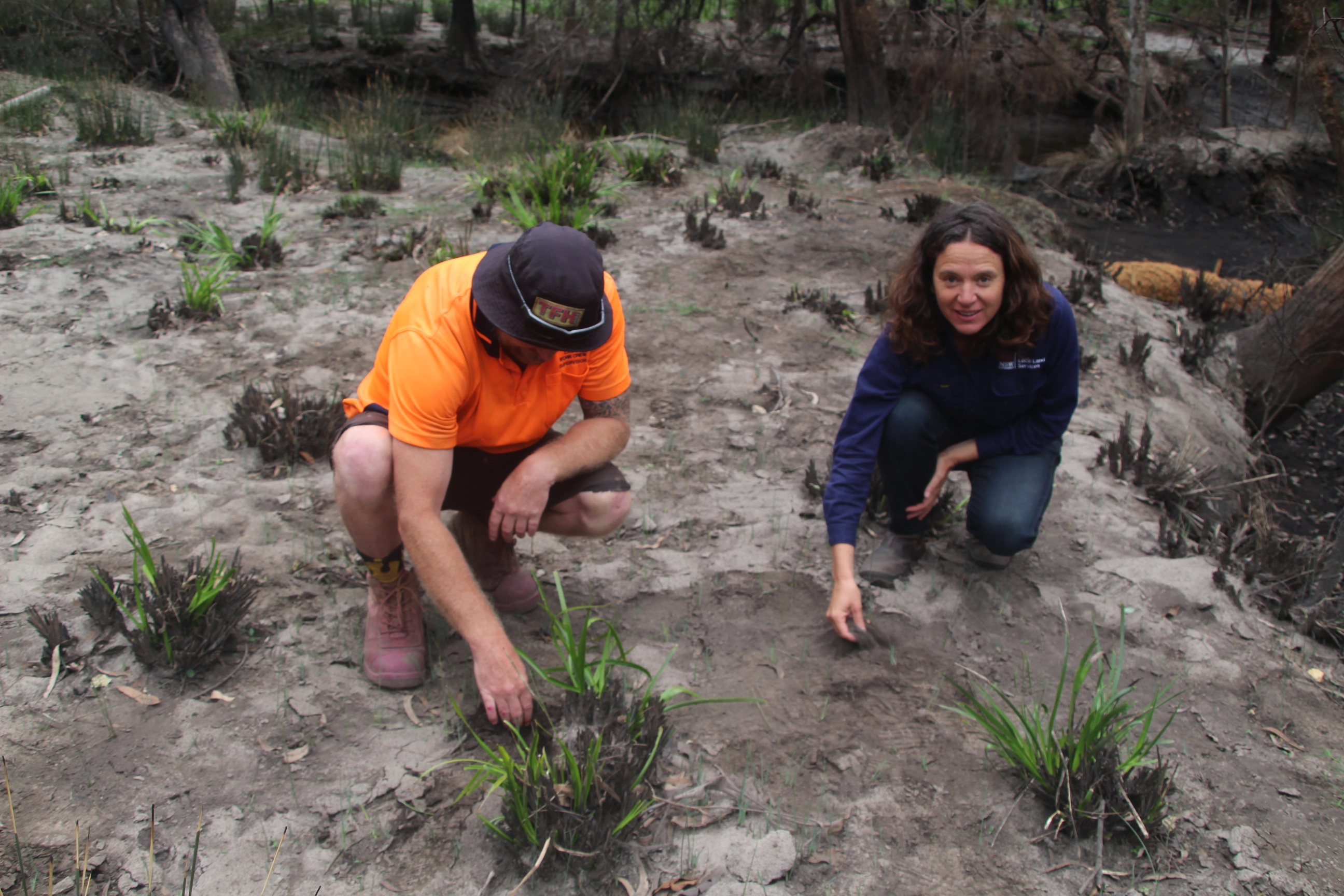 Aboriginal Land Council crews help repair coastal river systems