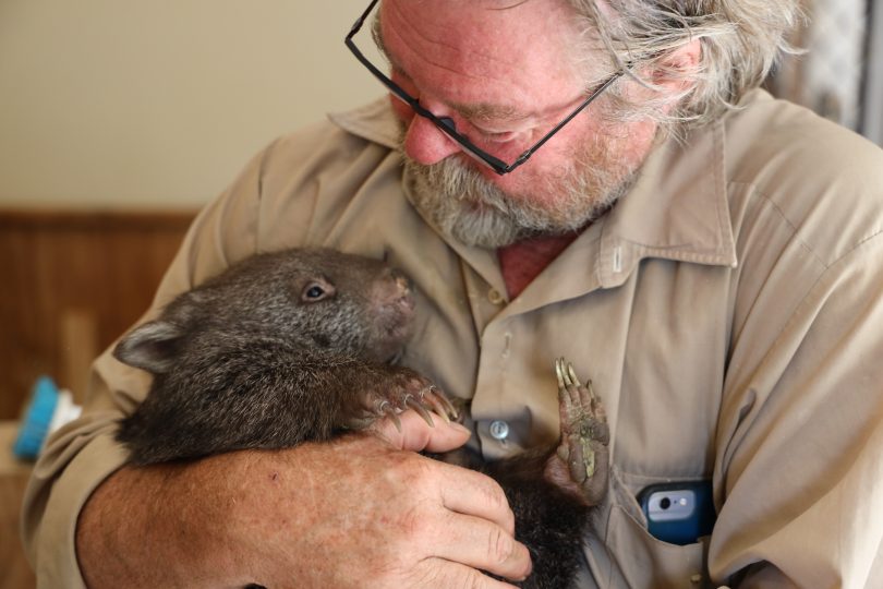 Wombat Bill Waterhouse