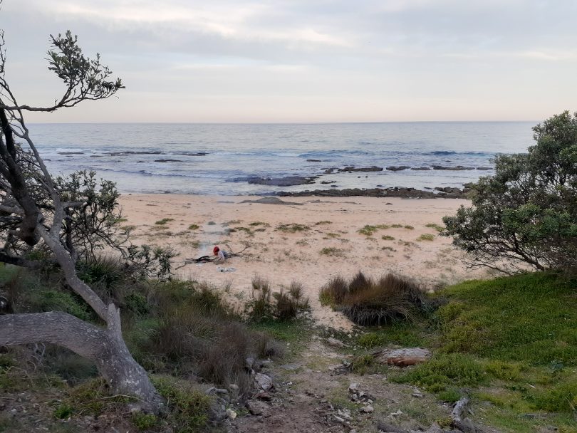 South Coast beach, with bush in foreground.
