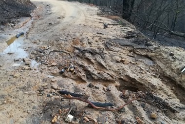 Muddy, damaged section of Araluen Road.