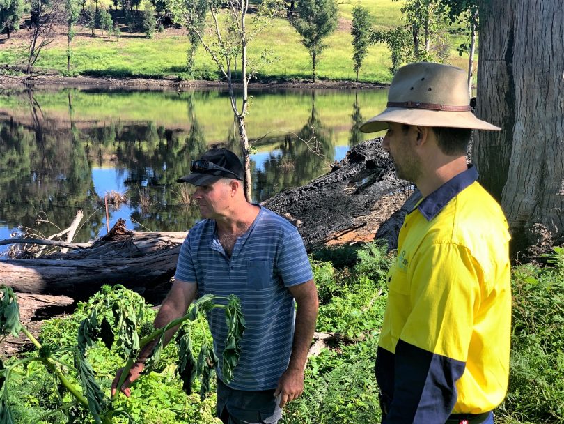 Council Supervisor Paul Martin and farmer Guy McPhee looking for weeds at Runnymede. Photo supplied.