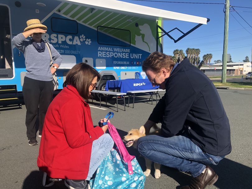 The RSPCA's mobile animal welfare response unit tending to a dog.