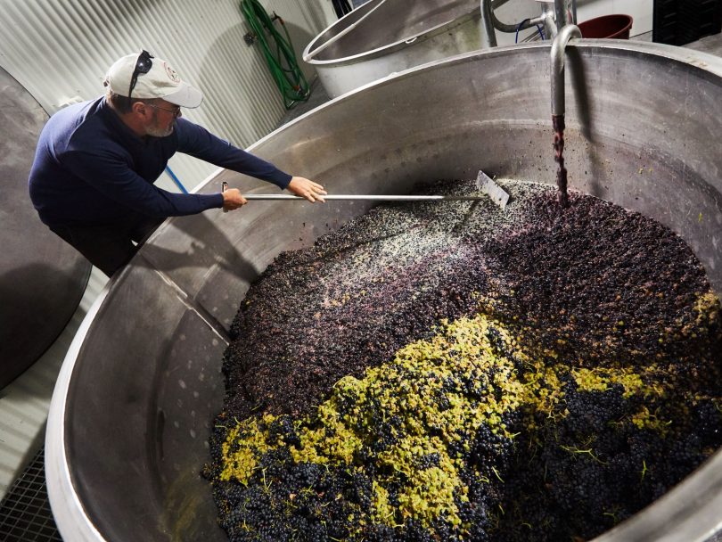 Tim Kirk stirring vat of grapes.